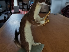 Customer Photo of Taxidermy Classes